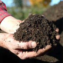 compost-soil